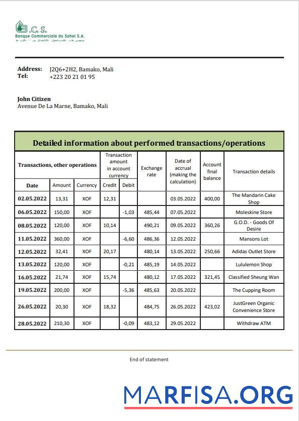Realistic Mali Banque Commerciale du Sahel bank statement word real example